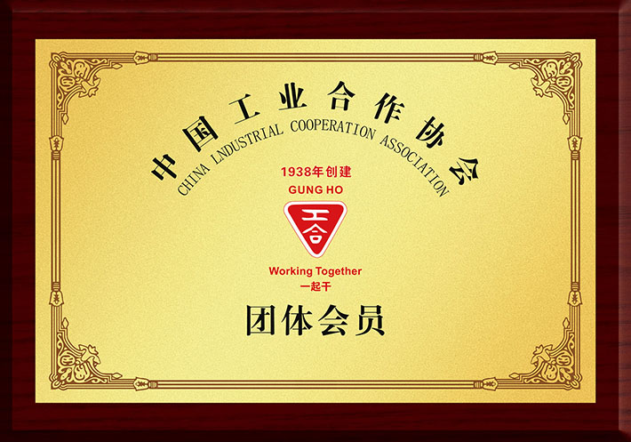 中国工合团体会员单位铜牌模板5-14 上网.jpg