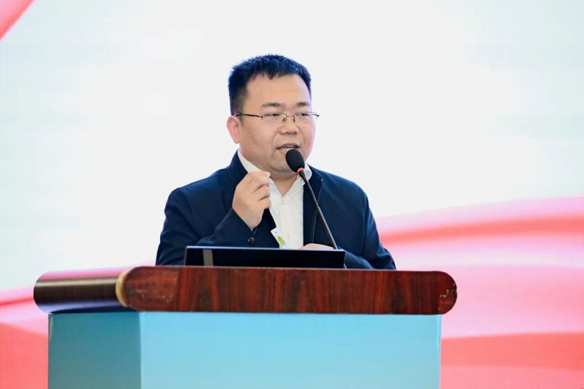 1762244832754332.jpg 1762244832754332.jpg