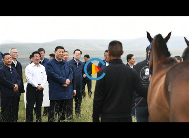 习近平踏访河西走廊_图片_046.jpg