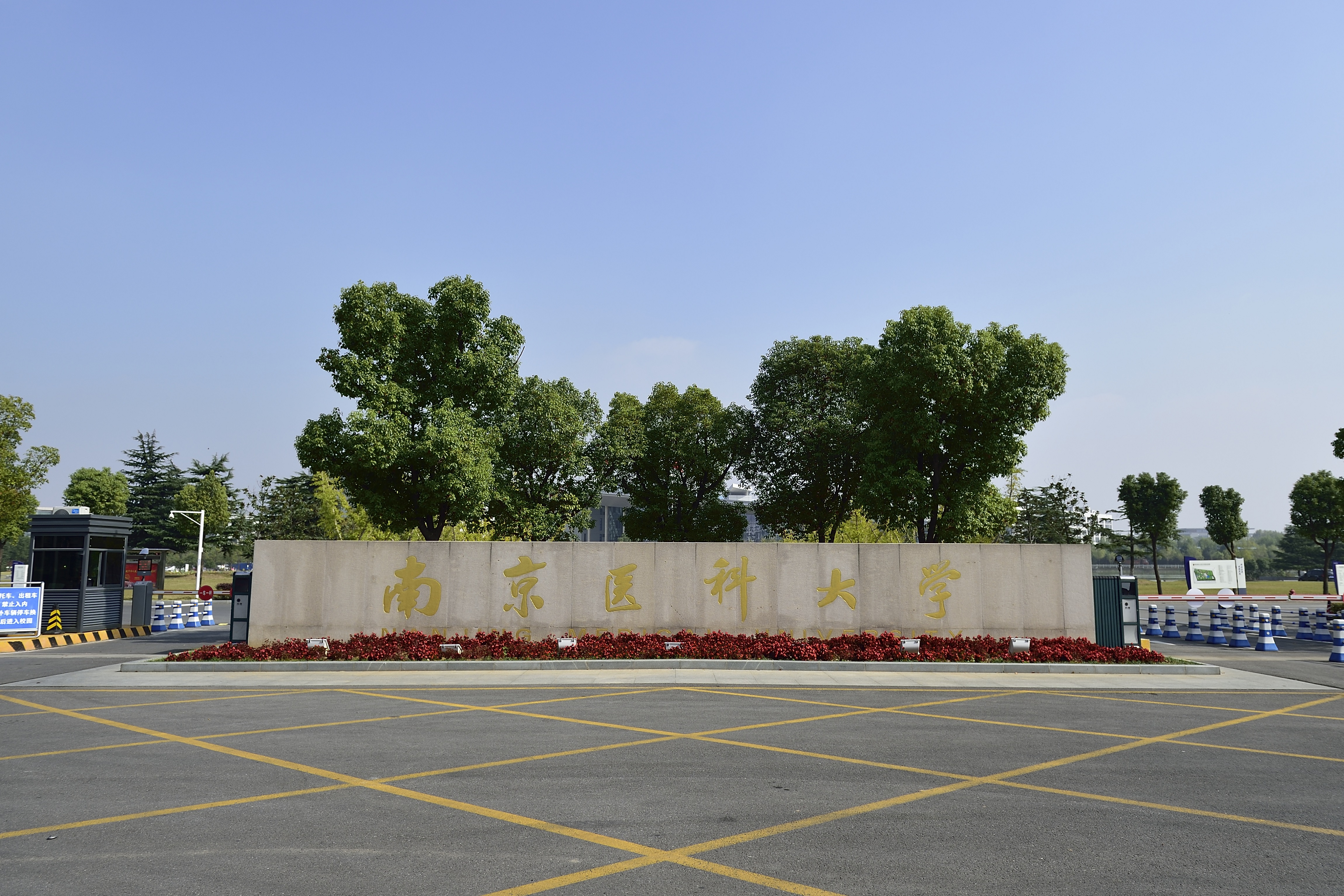 江宁校区南门（小）.jpg