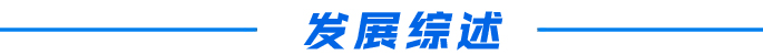 发展综述.jpg