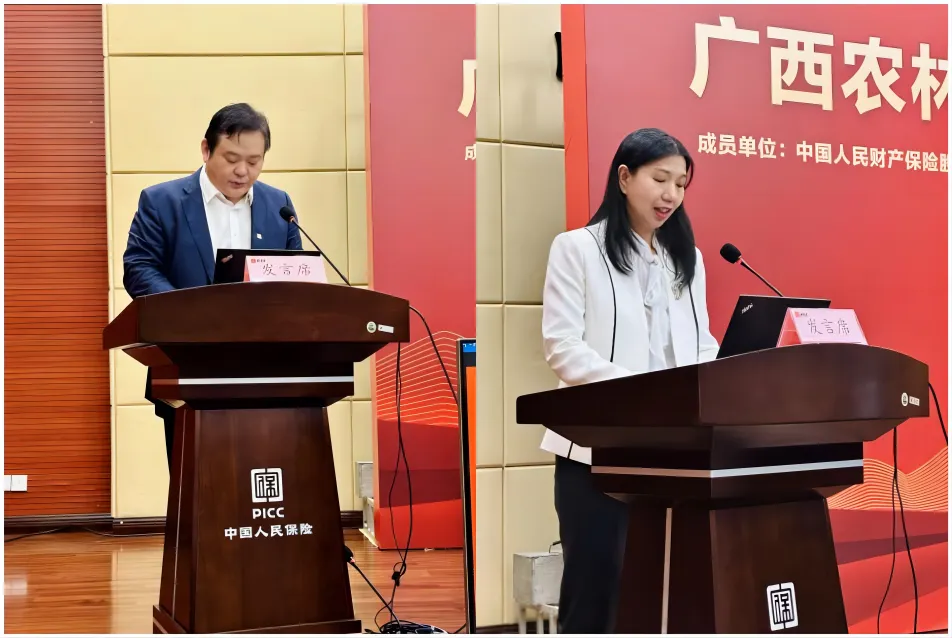 1713147254863648.jpg 1713147249499.jpg