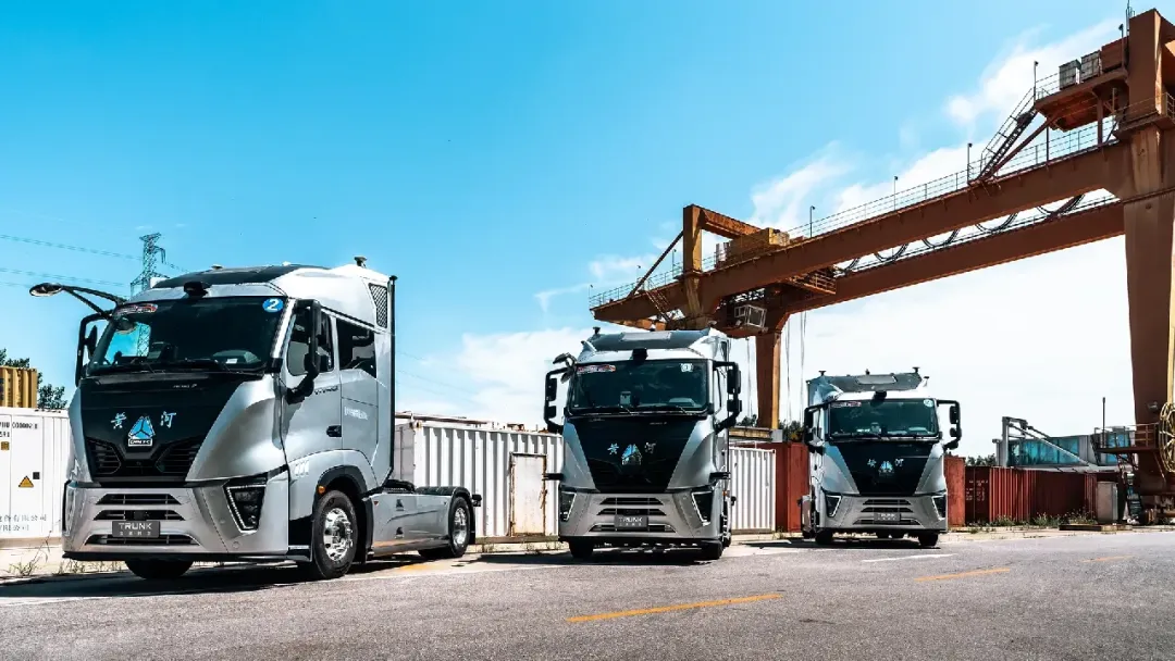 1715222080344817.jpg 1715222058913.jpg