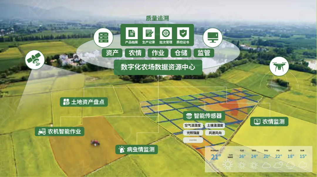 1715390628986421.jpg 1715390623533.jpg