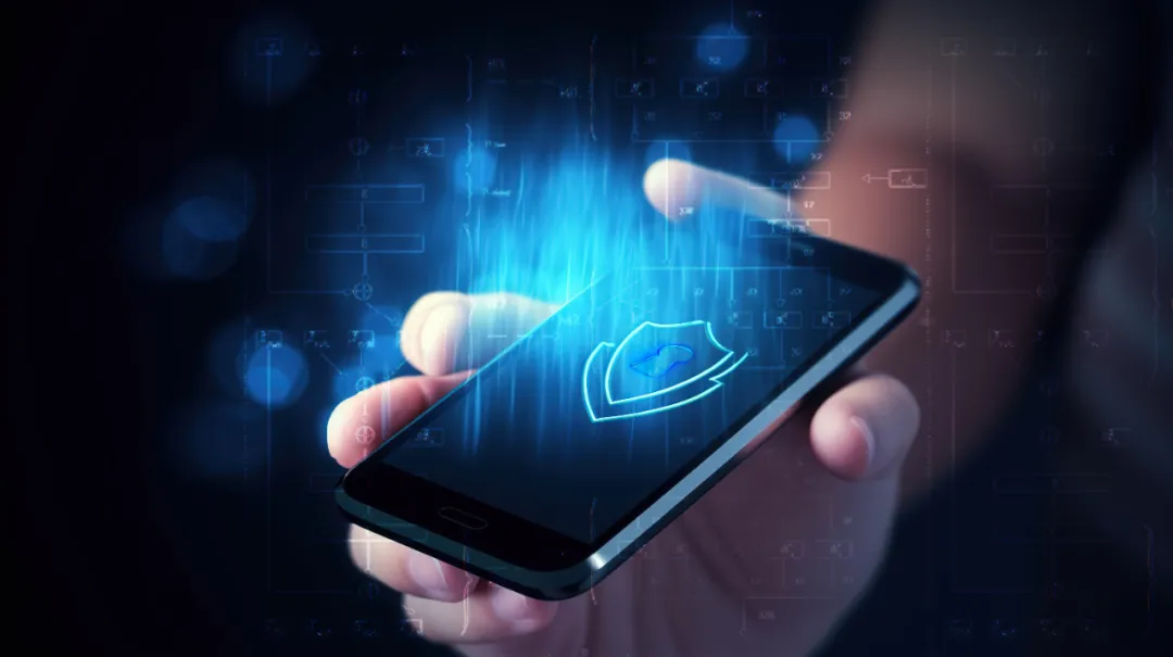 1715825387339296.jpg 1715825376482.jpg