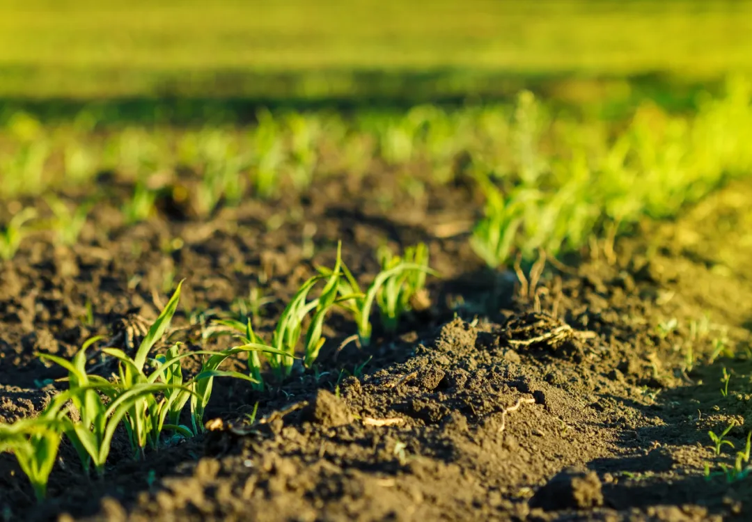 1716777947270154.jpg 1716777942508.jpg