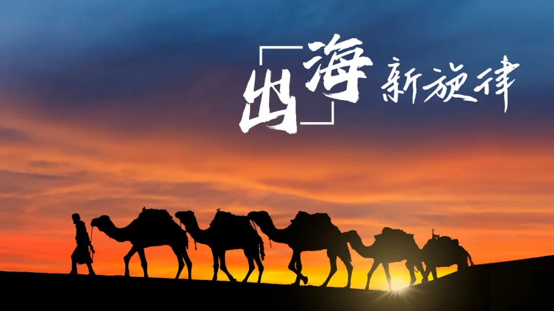 1719450970737132.jpg 1719450965842.jpg