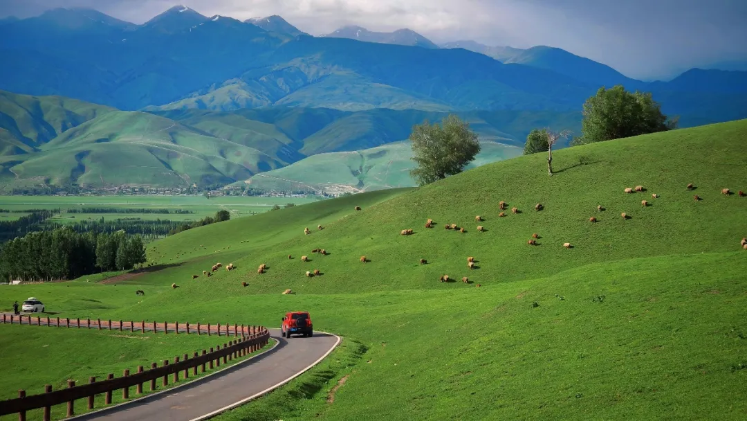 1720144988969475.jpg 1720144987033.jpg