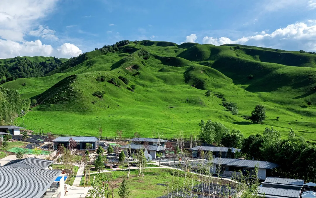 1720144998996494.jpg 1720144996444.jpg