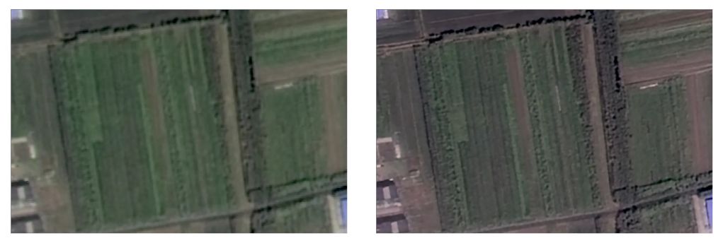 1721007556246974.png 1721007545513.png