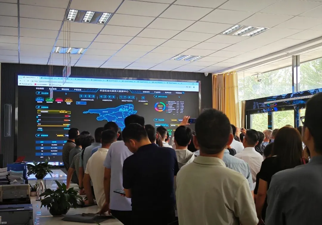 1721092565232759.jpg 1721092562801.jpg