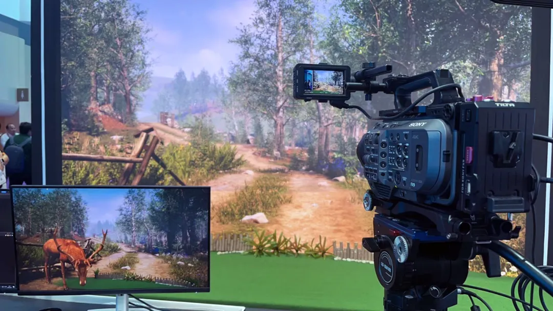 1722303415578645.jpg 1722303409311.jpg