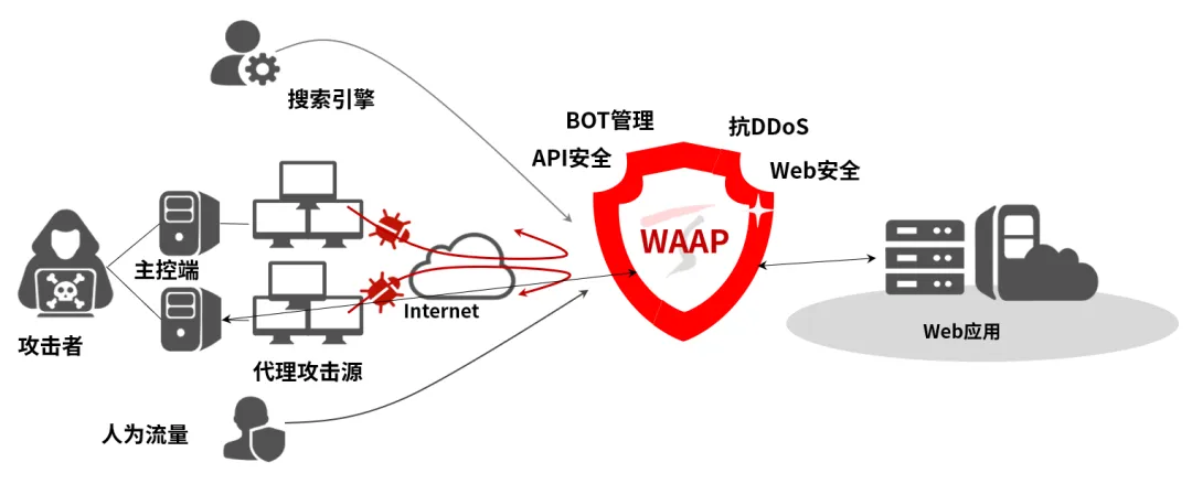 1724124165179276.jpg 1724124160829.jpg