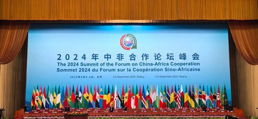 1725850825951965.jpg 1725850820248.jpg