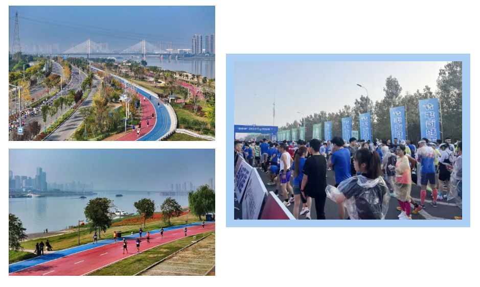 1731029333909905.png 1731029327007.png