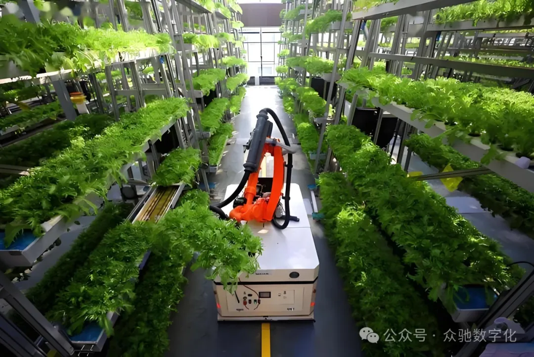 1731029724128936.jpg 1731029716034.jpg