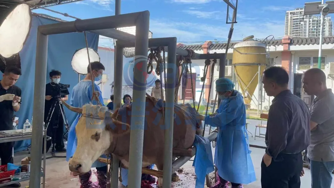 1731892871112050.jpg 1731892864991.jpg