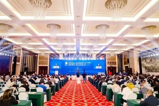 1732237348457121.jpg 1732237344317.jpg