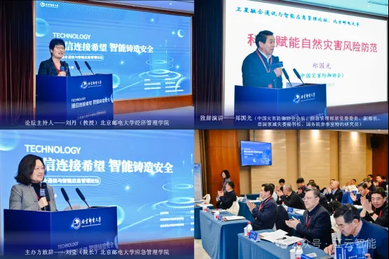 1733274212555826.jpg 1733274199729.jpg