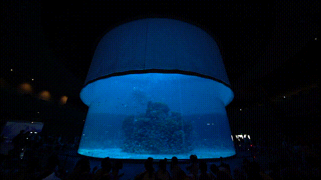 1736298167957237.jpg 1736298163622.jpg