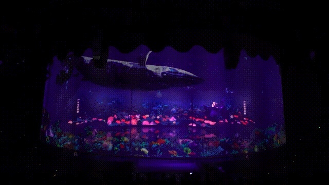 1736298198475720.jpg 1736298195347.jpg