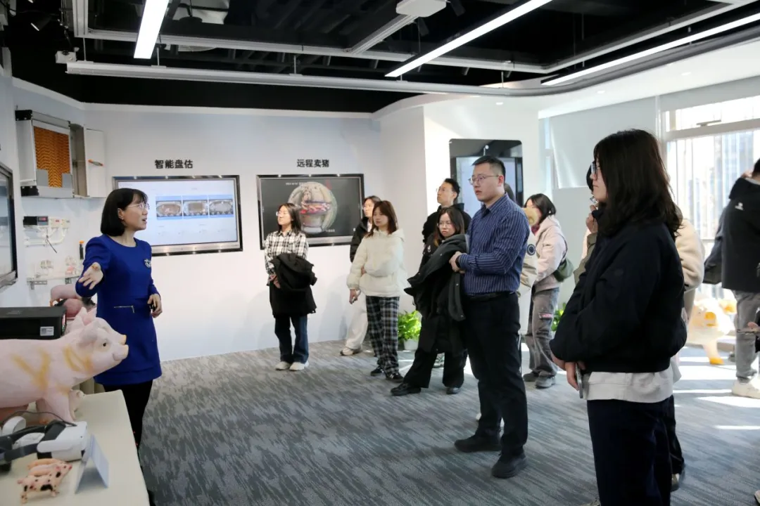 1739933484352590.jpg 1739933478137.jpg