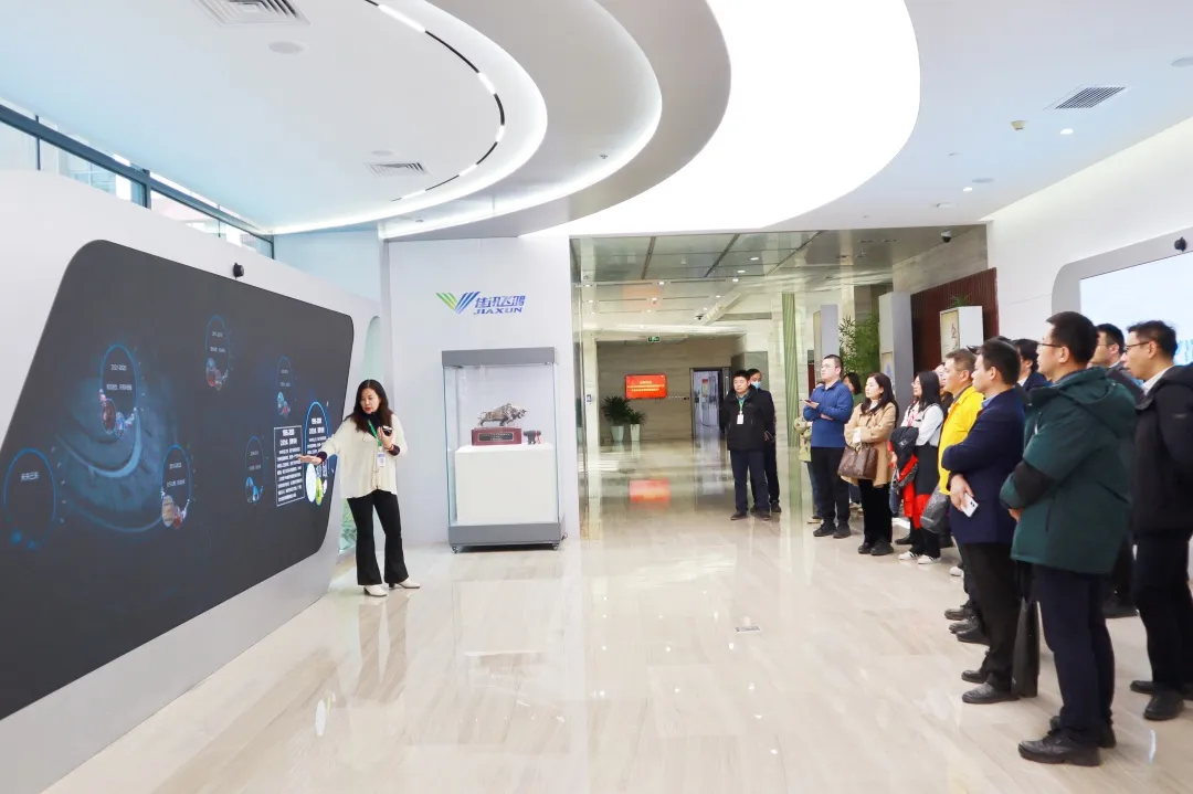 1740706452884910.jpg 1740706446380.jpg