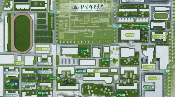 1757653473153145.png b9f04b0b-913a-4ec7-bc9b-1a779019af6c.png