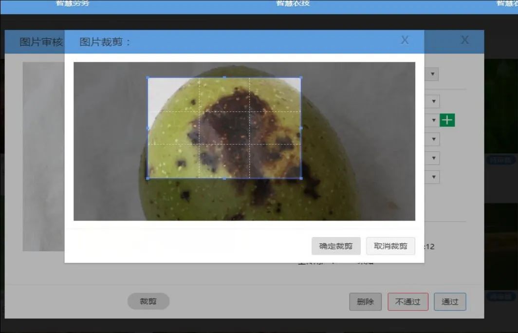 1765421590235069.png ac5d3f42-8eb1-4d10-bcee-389f6a3eb611.png