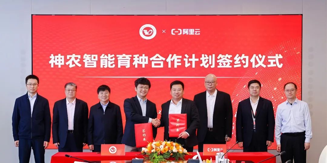 1767504474445000.png 43f7bcf3-5cba-433d-9760-f5e250c0a7f8.png