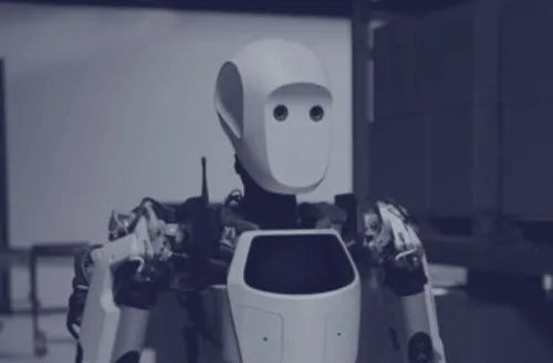 1784081669384199.png 2c2d0a11-1522-49c0-869f-88d30bb0ea60.png
