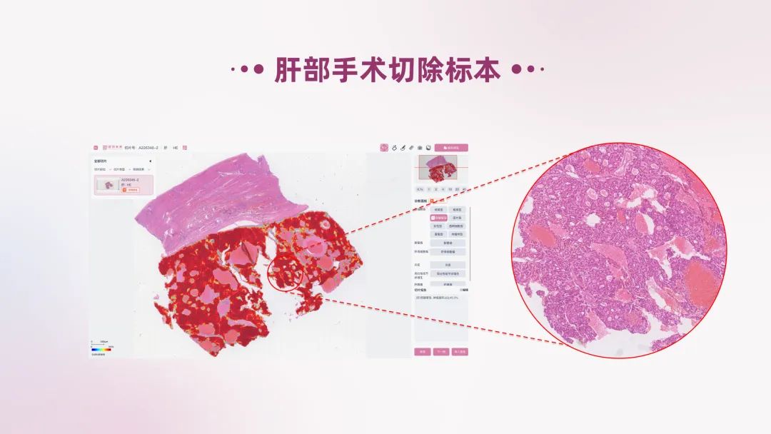 ee9029ce-8ba8-4cd9-b71d-95296f942717.png
