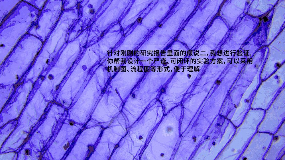 1787538190106836.png fbeec75d-2571-4ccc-a4a0-ed745e011979.png