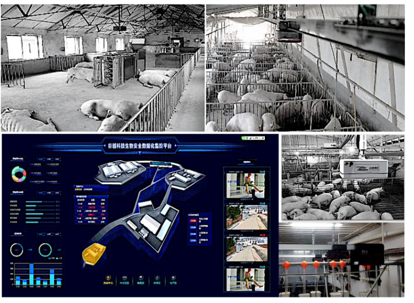 1670813781700080.png image.png