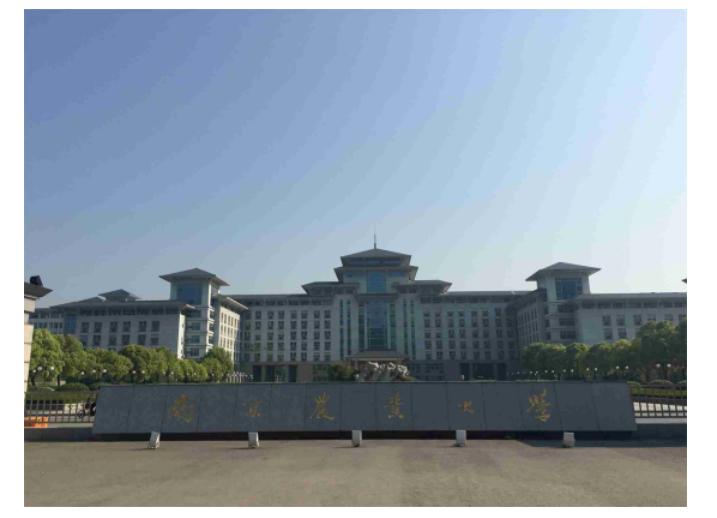 1672718422444497.png image.png