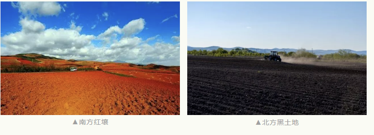 1675065224842292.png image.png