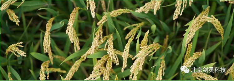 1682476372767170.png 2bbaa32a5deaeaa9fc2a4598ba8f3a4.png