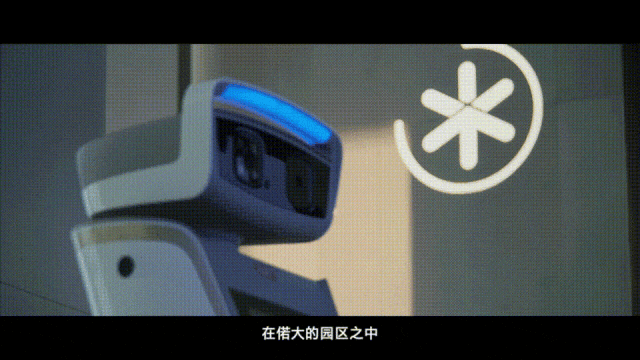 1703471171322214.jpg 1703471168574.jpg