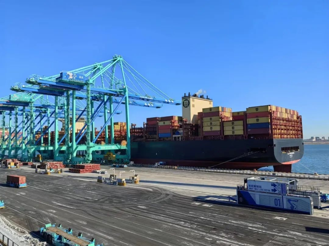 1703555999718053.jpg 1703555995885.jpg