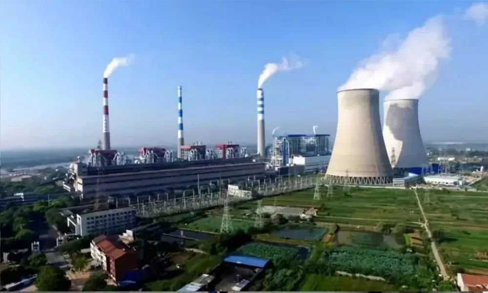 1704421982247621.jpg 1704421979410.jpg