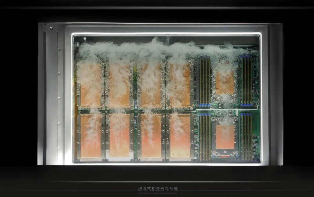 1705027198698704.jpg 1705027196057.jpg