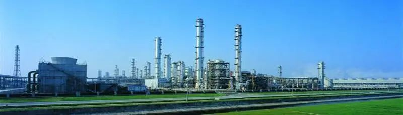 1710814816786831.jpg 1710814815354.jpg