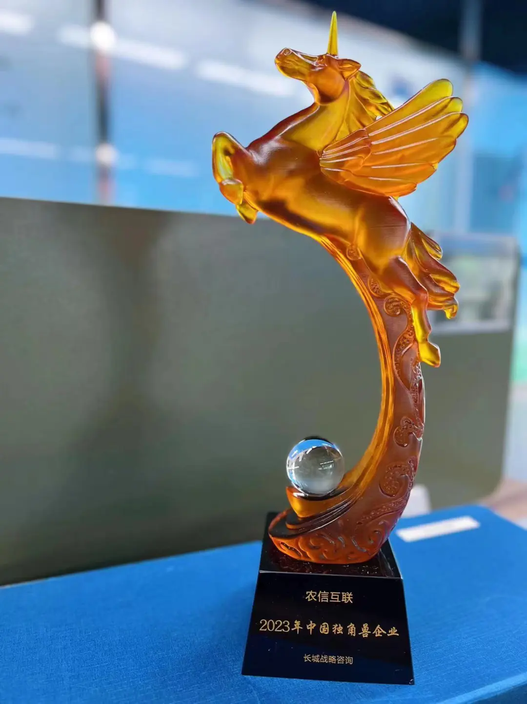 1718855291651969.jpg 1718855288086.jpg