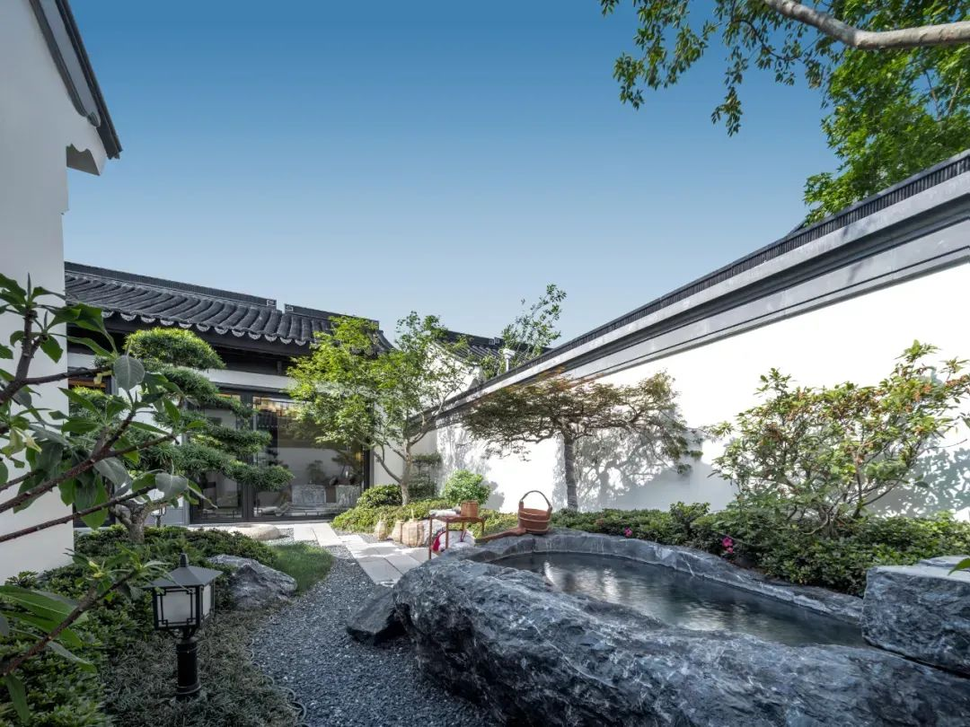 1719815123719291.jpg 1719815113610.jpg