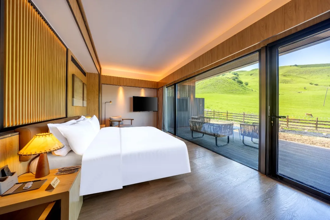 1720145030242449.jpg 1720145023460.jpg