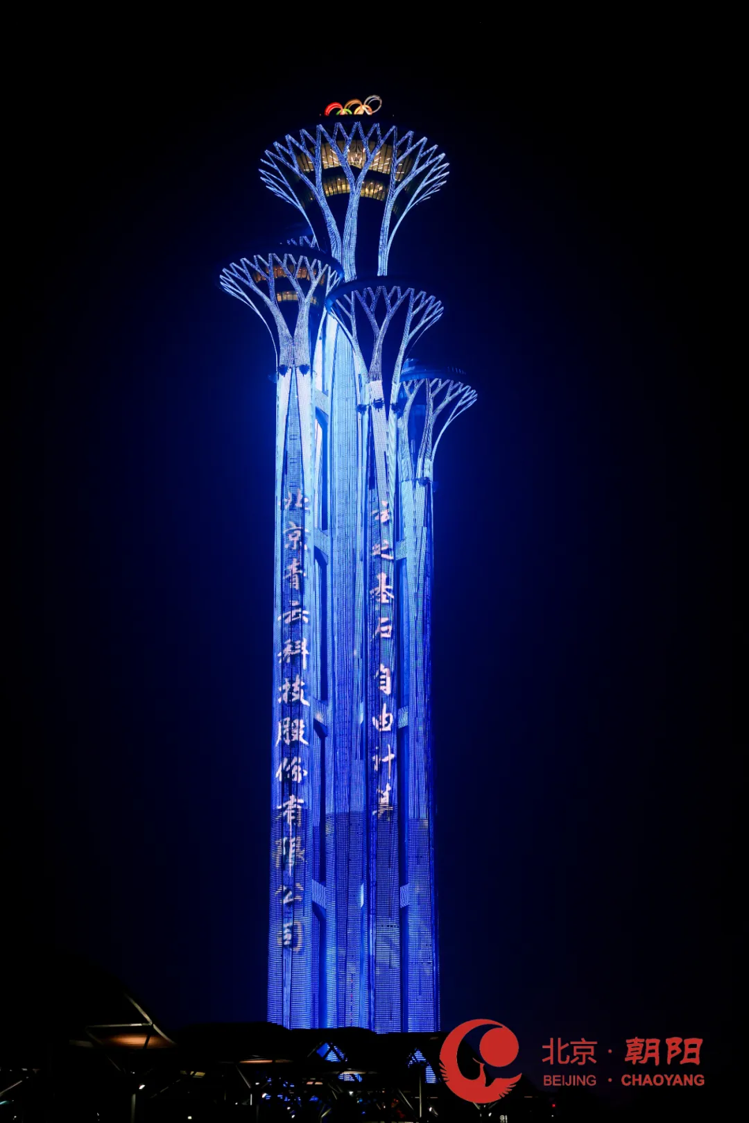 1721268187883413.jpg 1721268183293.jpg