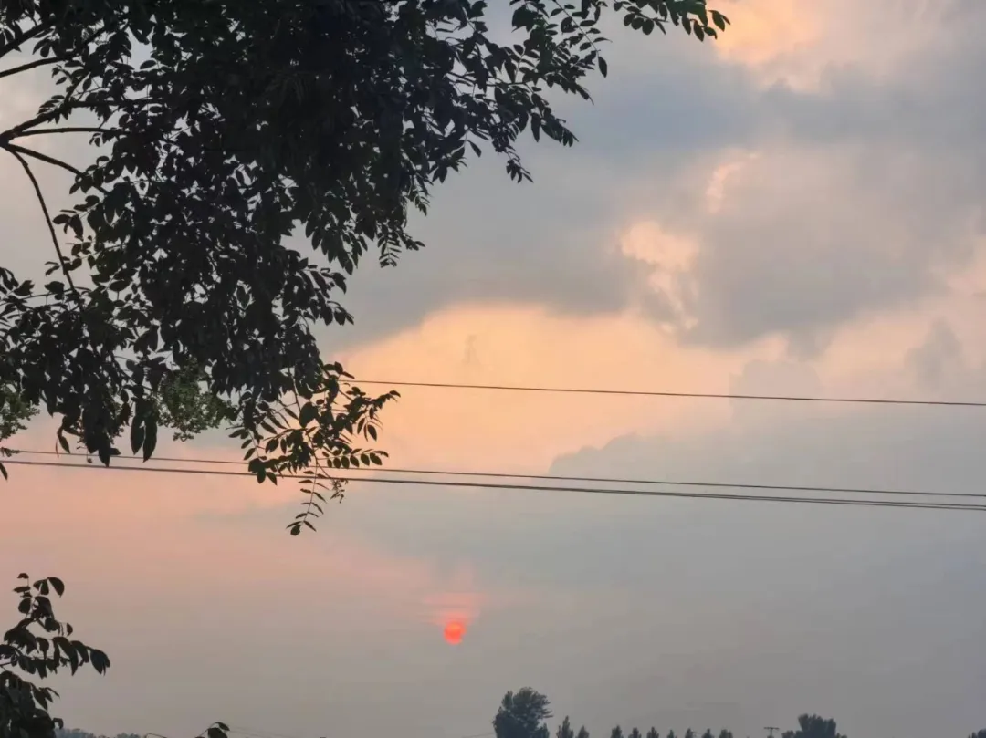 1721872313768199.jpg 1721872181570.jpg