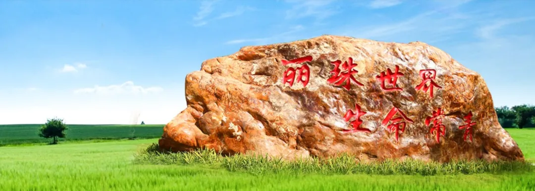 1722999782266525.jpg 1722999779197.jpg