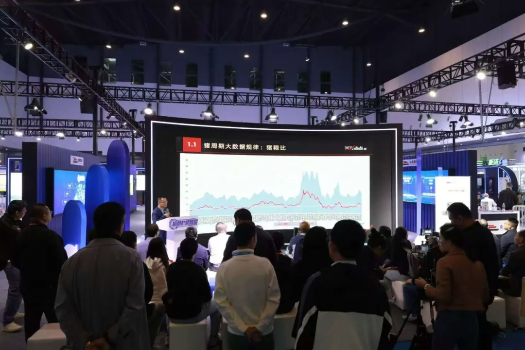 1730428524803213.jpg 1730428492900.jpg