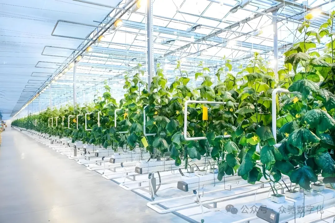 1731029756245761.jpg 1731029751795.jpg